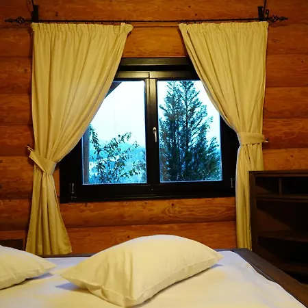 Apartment Mi Vatra Dornei